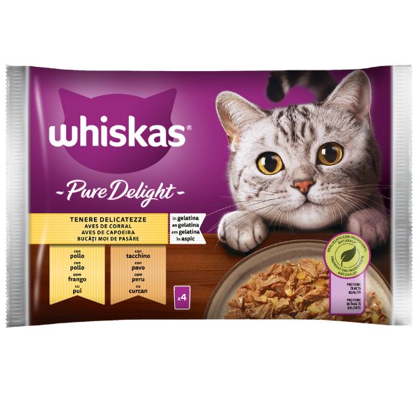 Whiskas Pure Delight Tenere Delicatezze In Gelatina Pollo e Tacchino 4x85gr Whiskas Pure Delight Tenere Delicatezze In Gelatina Pollo e Tacchino 4x85gr